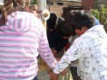 /album/jornada-dia-del-estudiante-y-dia-de-la-primavera/jornada-56-copiar-jpg/